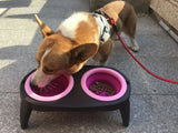 Folding pet bowl