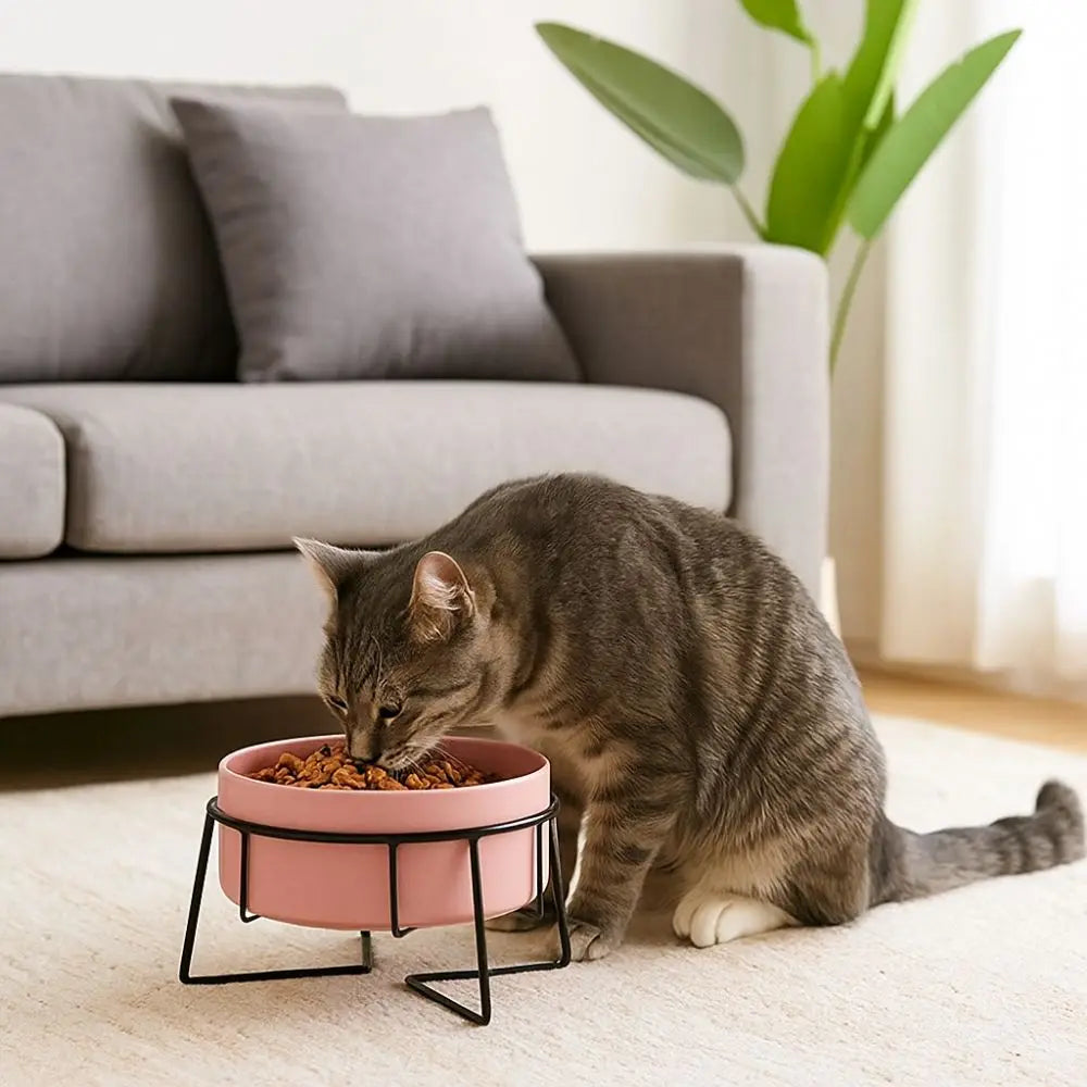 Ceramic Cat Food Bowls Large Capacity Cervical Protection High Foot Dog Feeder Elevated with Stand Pet Feeding Bowl Pet Supplies 