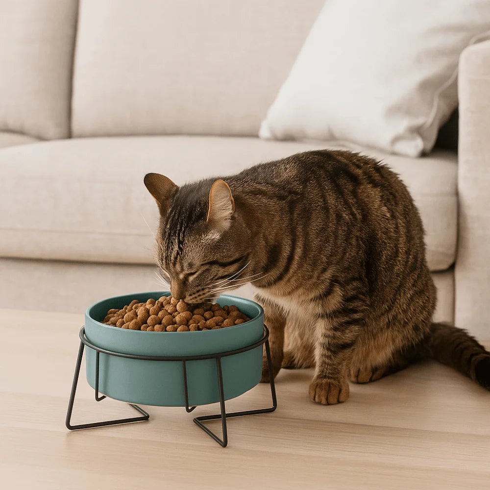 Ceramic Cat Food Bowls Large Capacity Cervical Protection High Foot Dog Feeder Elevated with Stand Pet Feeding Bowl Pet Supplies 