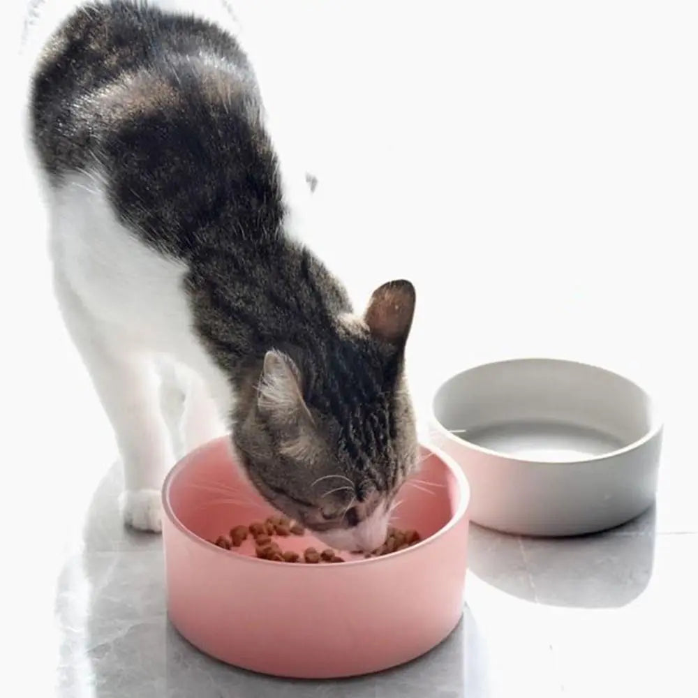 Ceramic Cat Food Bowls Large Capacity Cervical Protection High Foot Dog Feeder Elevated with Stand Pet Feeding Bowl Pet Supplies 