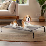Pet Beds